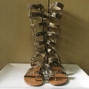 Steve Madden - Gladiator sandals - size 8